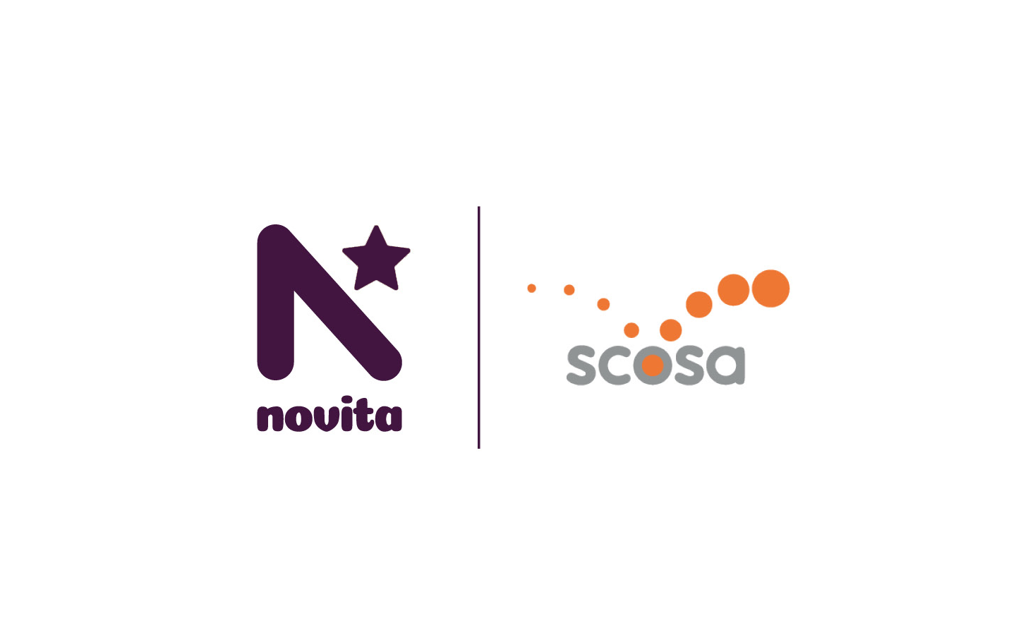 Potential merger of Novita and scosa